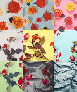Samples